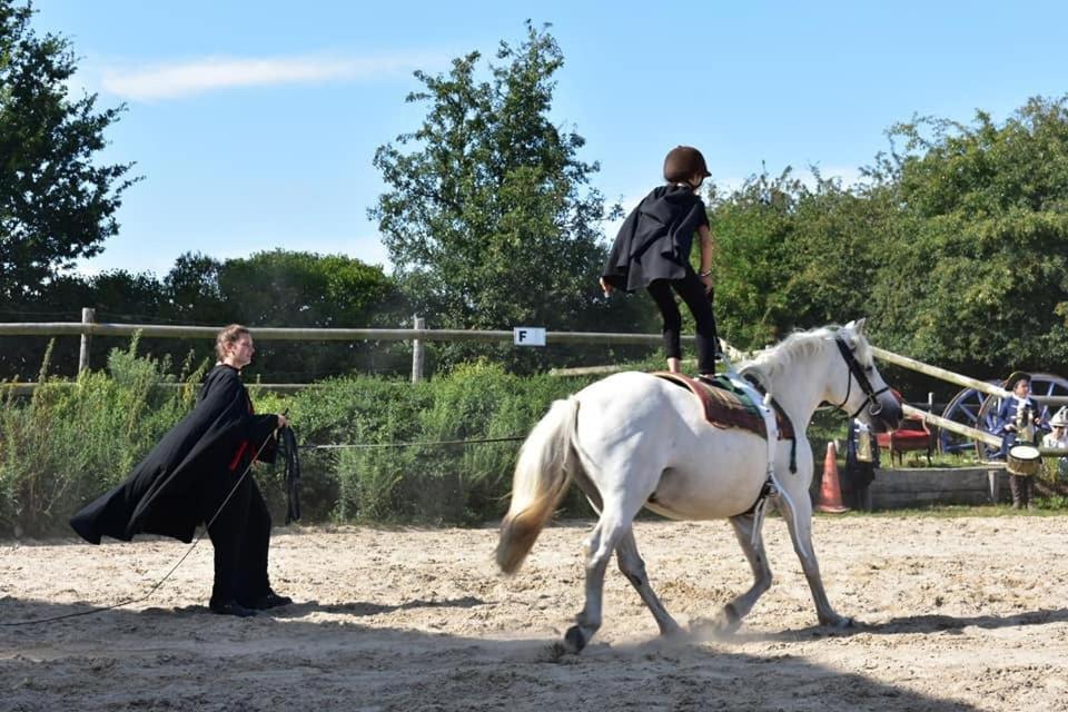 Ecuries Leseigneur - Camping Insolites Bolleville  Εξωτερικό φωτογραφία