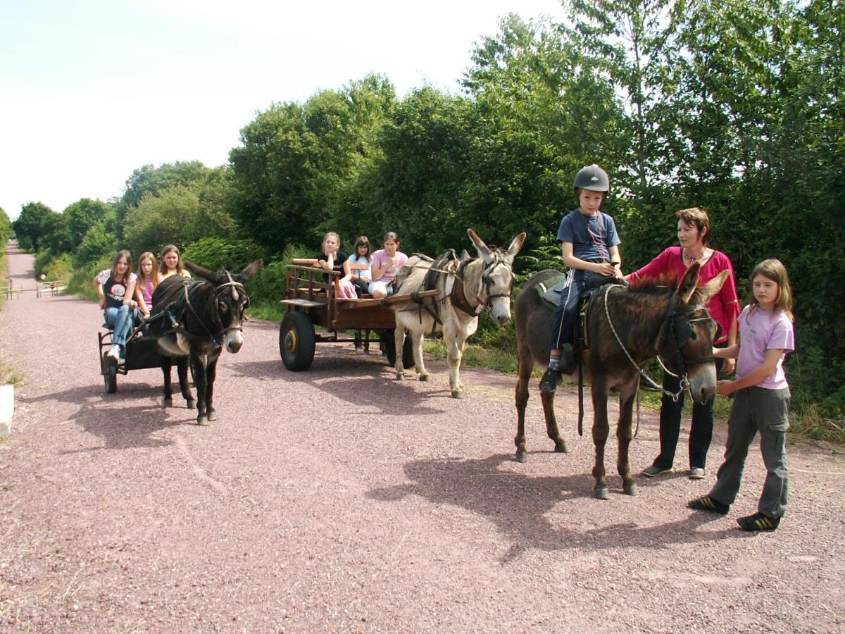 Ecuries Leseigneur - Camping Insolites Bolleville  Εξωτερικό φωτογραφία