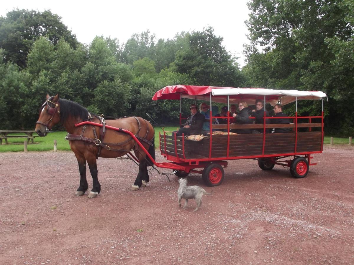 Ecuries Leseigneur - Camping Insolites Bolleville  Εξωτερικό φωτογραφία